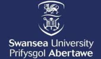 Swansea University